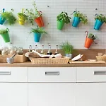 Seminaris Campushotel Otel Berlin